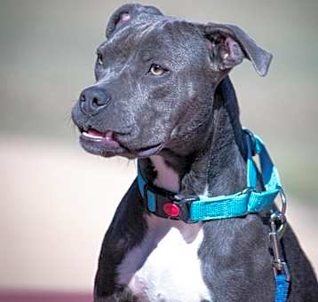 Photo of Ivy Mae GB