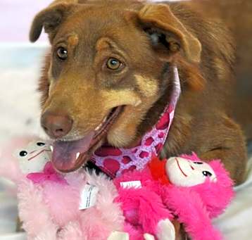 Photo of Penelope JR