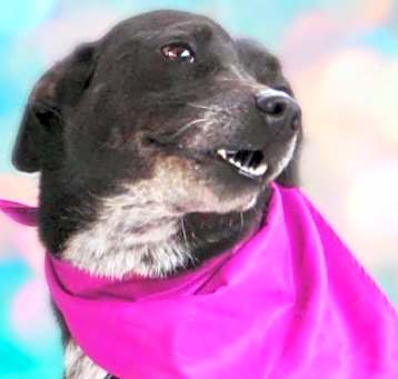Photo of Laila aka Quintana JuM*