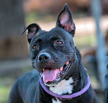 Photo of Skye JuM