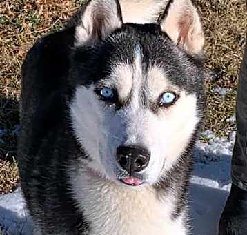 Photo of Keegan