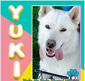 Photo of Yuki