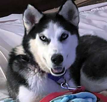 Photo of Keeva
