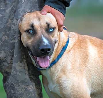 Photo of Azul JuM