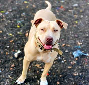 Photo of Nyla JC
