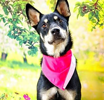 Photo of Luna JuM