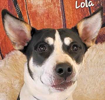 Photo of Lola JuM