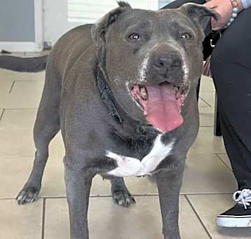 Photo of Macy