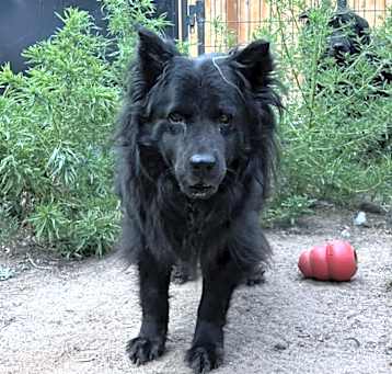 Photo of Rosie