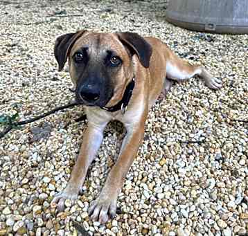 Photo of Skyler