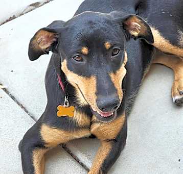 Photo of Etta