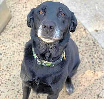 Photo of Jet