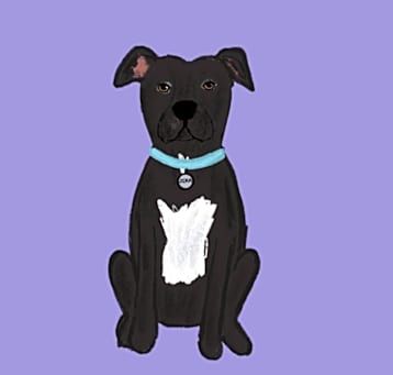 Photo of Zora