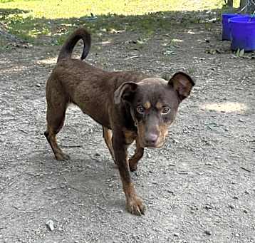Photo of Timber