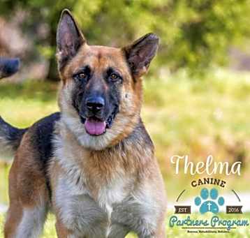 Photo of Thelma
