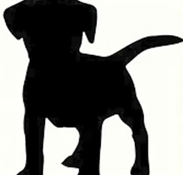 Photo of Pair Me Up Pup