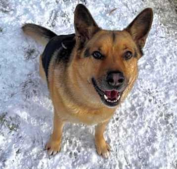 Photo of Thor