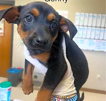 Photo of Genny