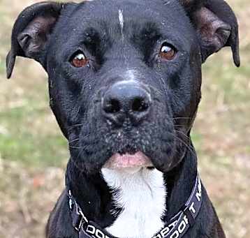 Photo of Tank