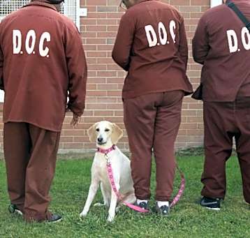 Photo of Charlee Paws-In-Prison GRADUATE!
