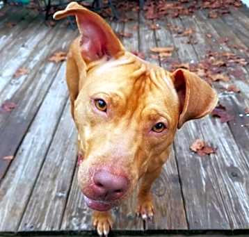 Photo of PRINCESS (BAY COUNTY)
