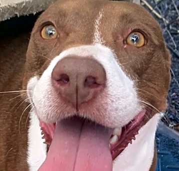 Photo of RUTHIE