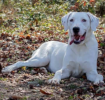 Photo of Daisy