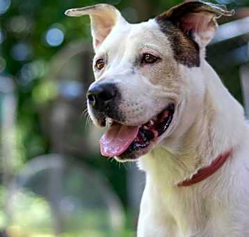 Photo of Emmy