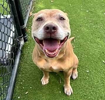 Photo of Nyla