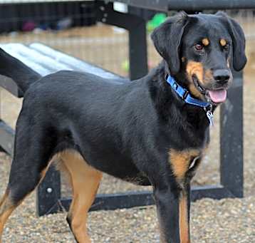 Photo of Kia