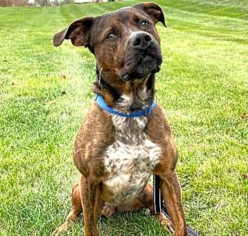 Photo of Odin