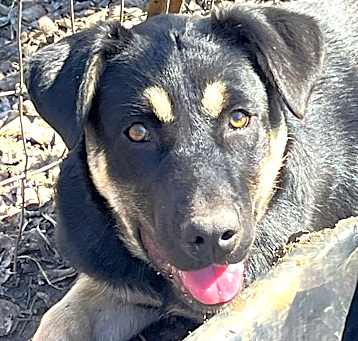 Photo of Carmelita