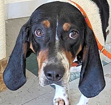 Photo of Molly