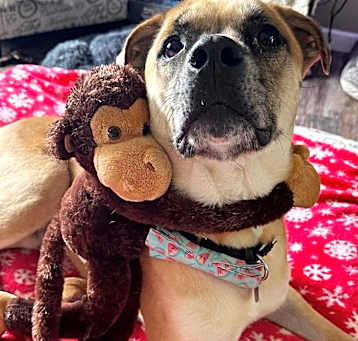 Photo of Lyle (Charlie)