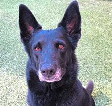 Photo of Nysa