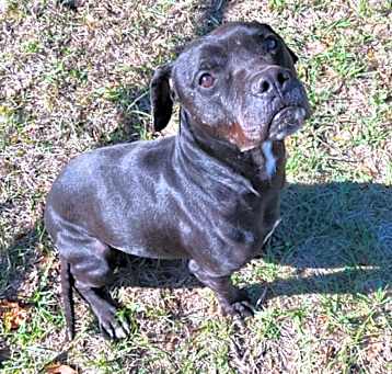 Photo of Mookie