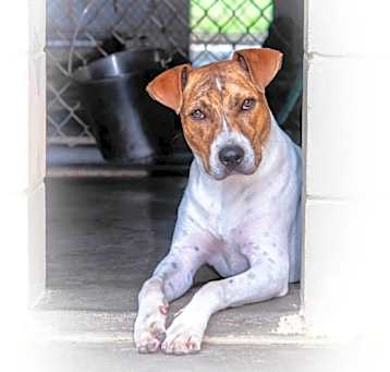 Photo of Jarvis
