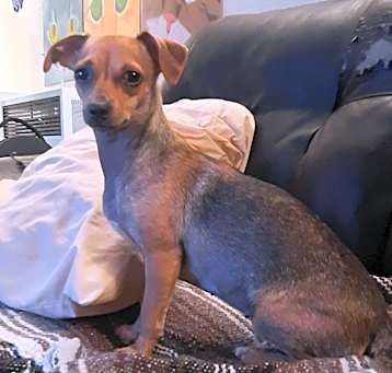 Photo of Nellie