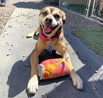 Photo of Sally