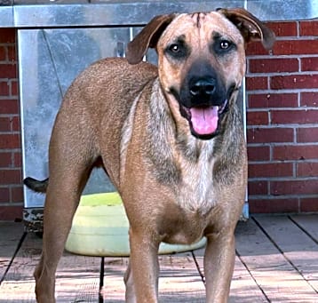 Photo of Rudy