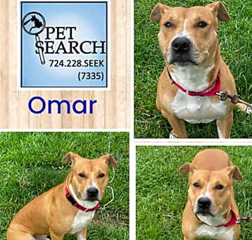 Photo of Omar