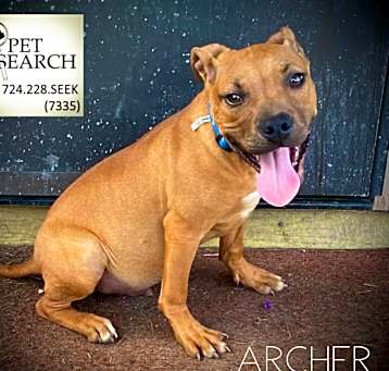 Photo of Archer