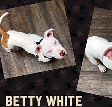 Photo of Betty White