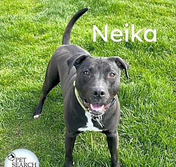 Photo of Neika
