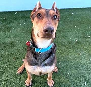 Photo of BRUNO MARS-A2116961
