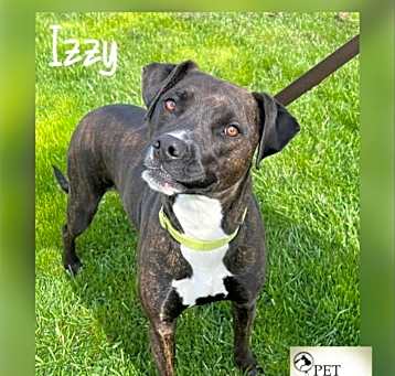 Photo of Izzy