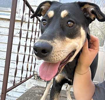 Photo of Delilah