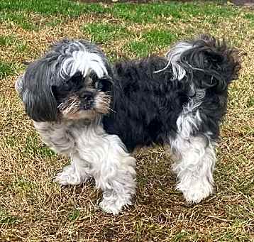 Photo of Emily(C000-024) -*By Appoinment*Chino Hills Location