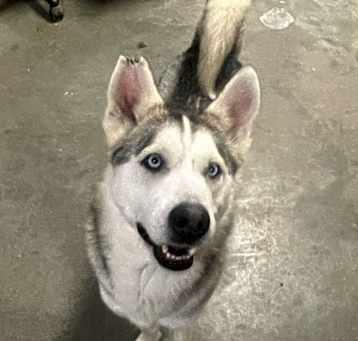 Photo of Max