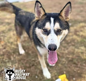 Photo of Cash
